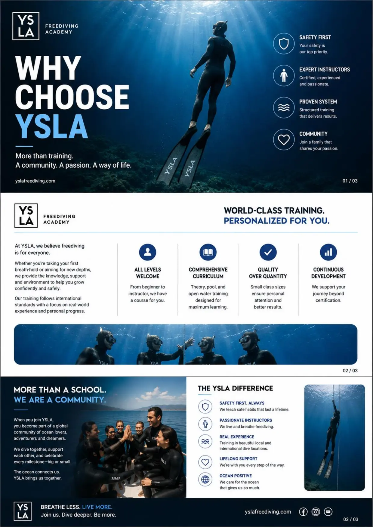 Why Choose YSLA